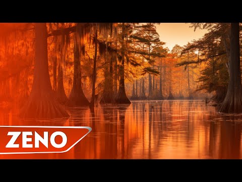 ZENO ✘ Alya - In Vale, la OLT ( Cover Remix )