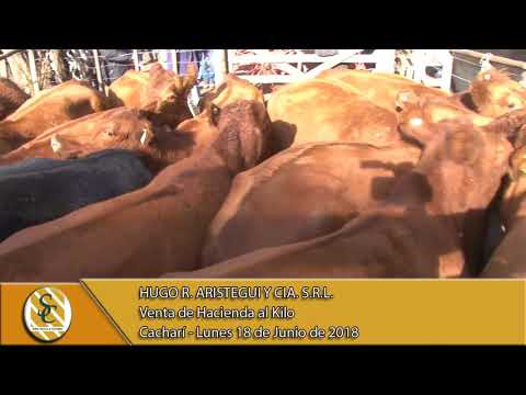 18-06-18 Venta de Hacienda al Kilo - Hugo R. Aristegui y Cia S.R.L. - Cacharí.