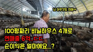 100평짜리 비닐하우스 4개로 연매출 6억..ㄷㄷ 순이익은 얼마에요??!?!