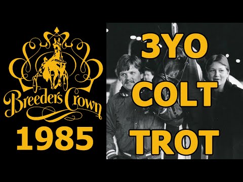 1985 Breeders Crown - Prakas - 3YO Colt Trot