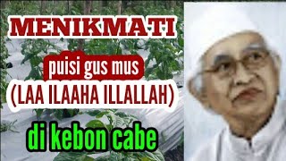 Download lagu puisi menggetarkan jiwa//menikmati puisi gus mus di kebon cabe #puisi#petanicabe#video mp3