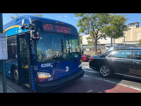 Q53 Sbs