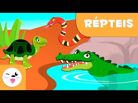 Répteis para crianças - Animais vertebrados - Ciências para crianças