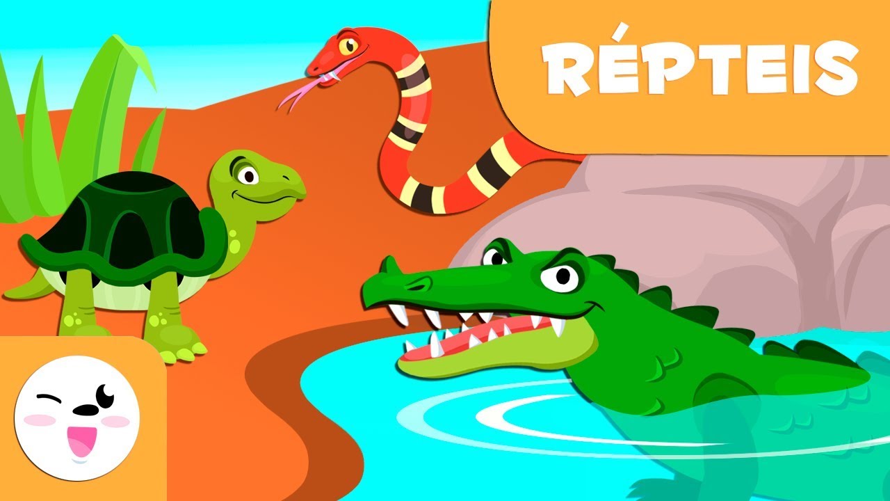 Répteis para crianças - Animais vertebrados - Ciências para crianças
