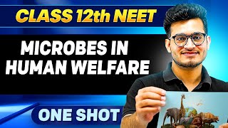 MICROBES IN HUMAN WELFARE in ONE SHOT || All Concepts, Tricks & PYQ || Ummeed NEET