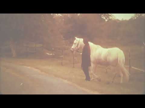 Jesse Sykes and the Sweet Hereafter- Forever, I’ve Been Being Born (short video teaser)