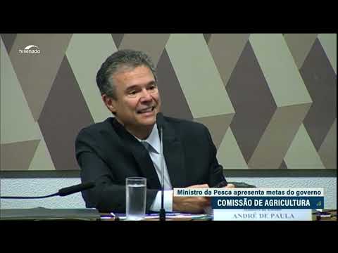 Ministro da Pesca e Aquicultura apresenta na CRA prioridades da pasta