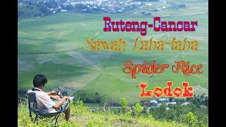 preview picture of video 'Pesona Lain Sawah Laba-Laba, Cancar'