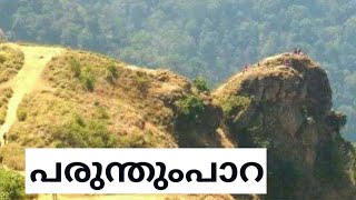 preview picture of video 'പരുന്തുംപാറ | Parunthumpara hill station'