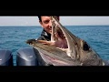 Pathos THE SEARCH Abu Dhabi - trailer Pathos THE SEARCH Abu Dhabi - trailer