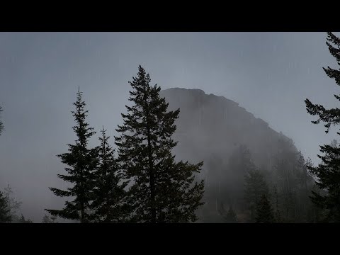 Foggy Mountain Rain & Thunderstorm Sounds - Stress and Anxiety Relief | 3 Hours