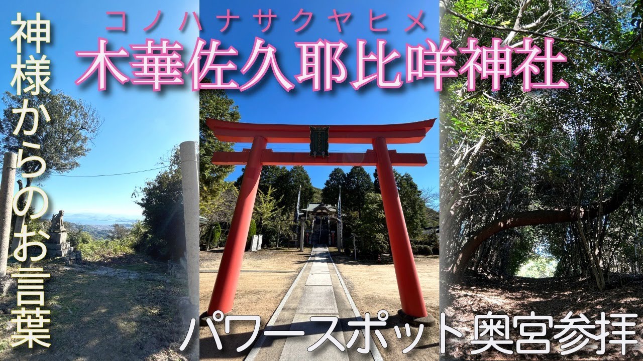 【遠隔参拝】木華佐久耶比咩神社　神様のありがたいお言葉をいただきました #このはなさくやひめ