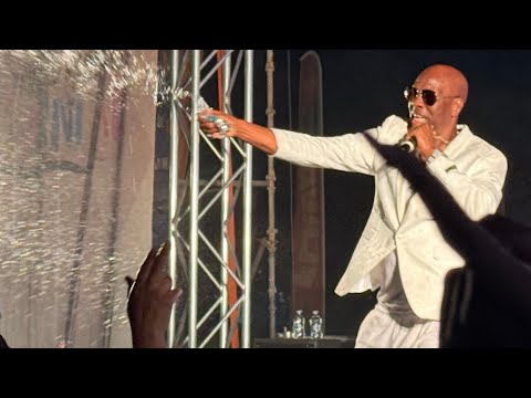 iwer George Fete at Flava Village