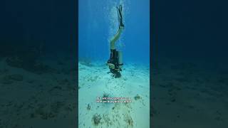 Getting our Advanced Open Water Diver Cert! #scubadiving #scuba #scubadive #scubadivers #diving