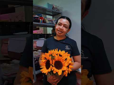 Bella Flor Floricultura Jussara Goiás