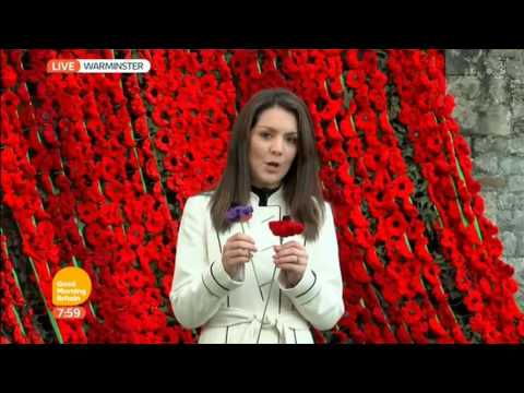 Laura Tobin in Warminster 2016 11 11