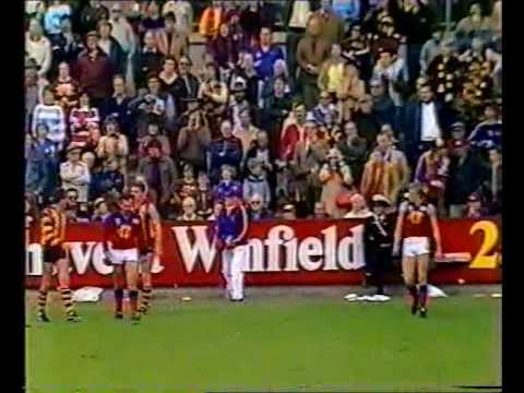 VFL R7 1984 - Hawthorn v Fitzroy