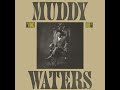 Muddy Waters  "Too Young to Know"