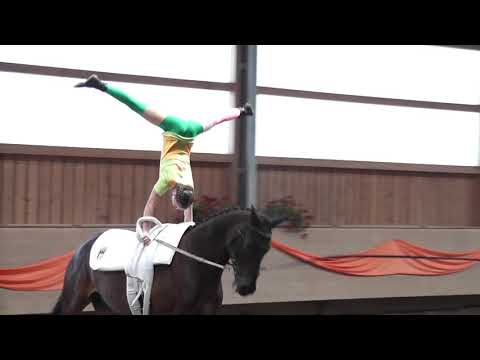 Voltigieren - Turnier Weicht 2020 - Laura Seemüller