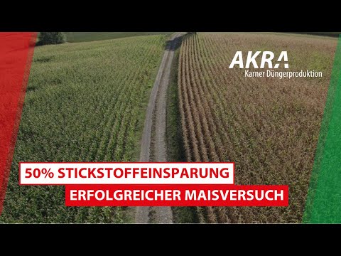 50% Stickstoffeinsparung mit AKRA im System | Maisversuch in Frankreich
