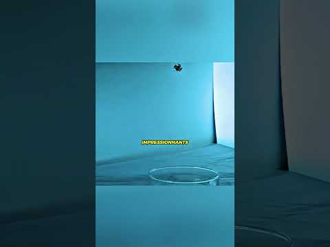 Le plus petit rotor de moteur au monde pourrait révolutionner les micro-drones