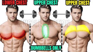 5 INNER ,LOWER AND UPPER CHEST WORKOUT WITH DUMBBELLS ONLY AT HOME OR  AT GYM