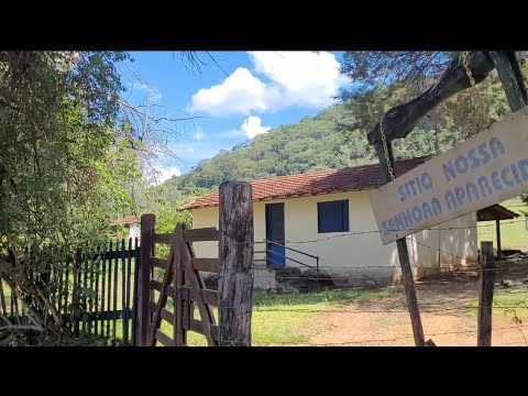 Graminha, varjão e benízio - Guaranésia interior de minas gerais