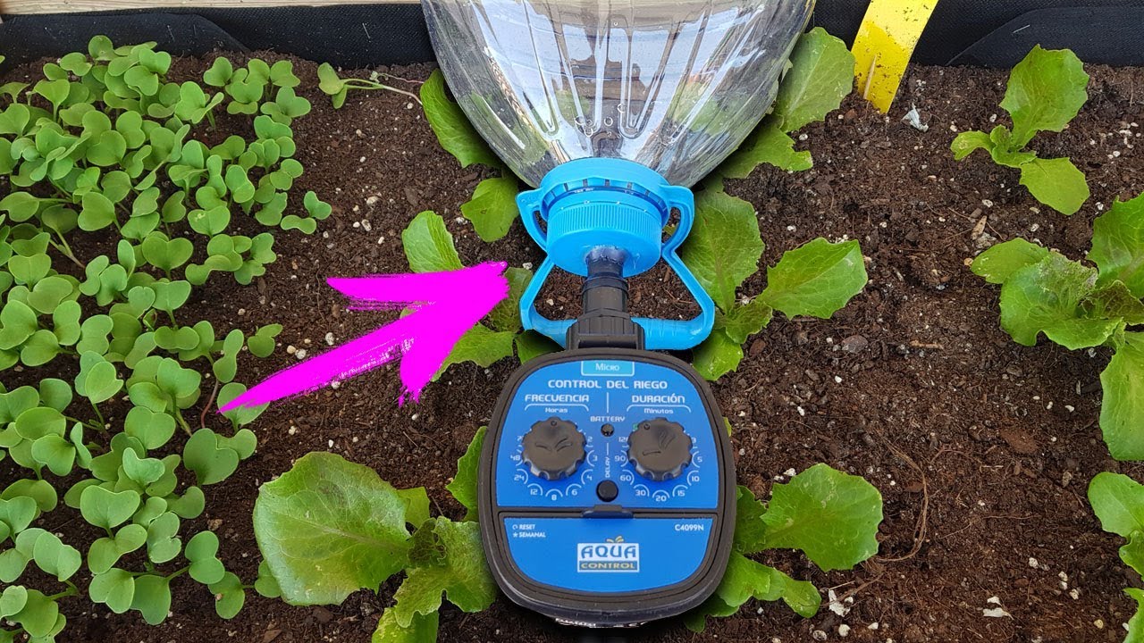 OLVÍDATE DE REGAR TUS PLANTAS O HUERTO CON ESTE SISTEMA - RIEGO, TRASPLANTE Y PREVENCIÓN COCHINILLAS