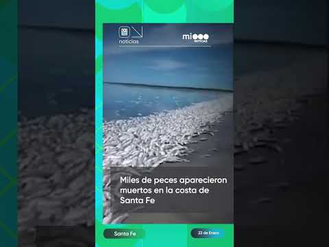 ️Por la sequía, miles de peces muertos aparecieron en la costa de la Laguna del Plata