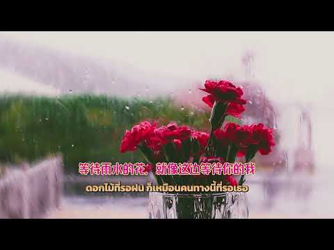 ดอกไม้ที่รอฝน (spring) THE TOYS x NONT TANONT