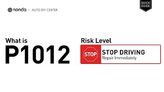 Código p1012 Ford Interpretación