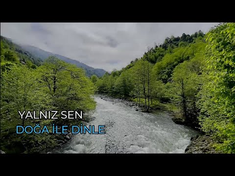 Yalnız Sen (Göksel Baktagir) Ney