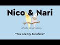 You Are My Sunshine ~ Parrot Whistle Training