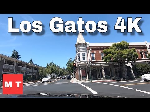 fogyás los gatos