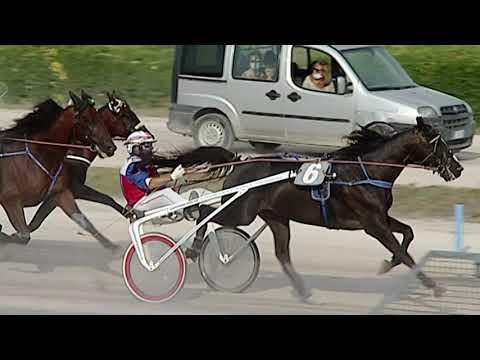 Aversa trotto 12 Settembre 2020 - 5° Corsa