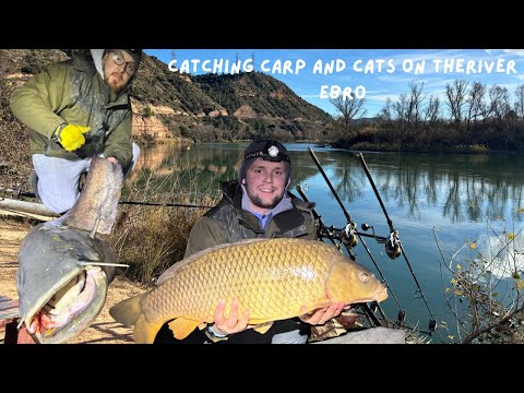 AFTER DARK on the River Ebro | Carp & Catfish Fishing