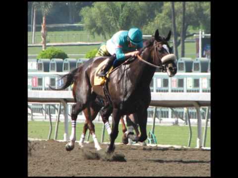 Zenyatta the best mare of the Horse Racing World.