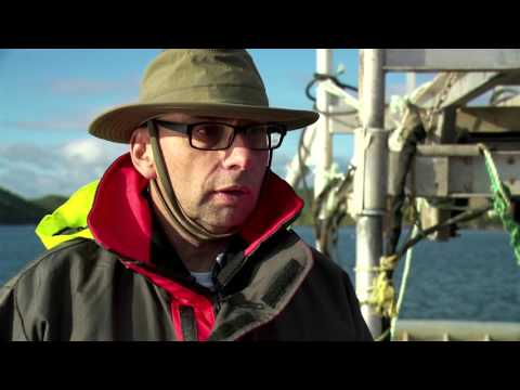 Deep water mussel farming in Newfoundland and Labrador