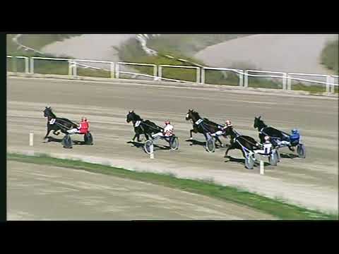 Napoli Trotto 30/10/2022 - 1ª prova di qualifica