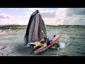 Incredible Whale Encounters Caught On Camera