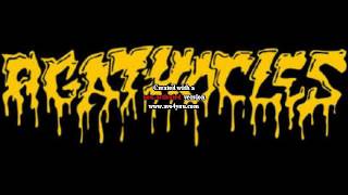 Agathocles (Belgium) - Rehearsal 12-26-1988.avi