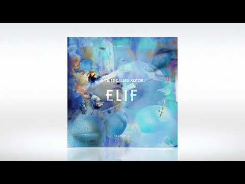 Track of the Day (27/07/2020) - Elif (TR), Sanoi - Bamboo Forest (Original Mix)