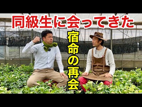 園芸 孔雀の目、孔雀の花、オニユリ