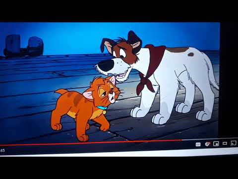 Oliver The Woodpile Cat Part 10 - Oliver Say Goodbye to Danny and The Girls/Oliver Goes Home