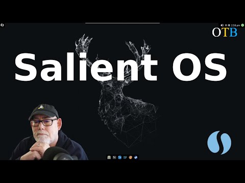 Salient OS - An Arch Distro for Gamers and Multi-Media Enthusiasts