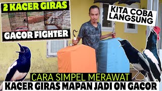 Download lagu DASAR SIMPEL MERAWAT KACER TIPIKAL GIRAS MAPAN AGAR GACOR BUKA EKOR KONSLET mp3