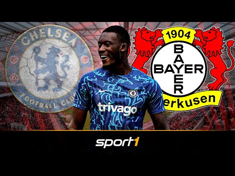 Nicht Bayern oder BVB: Hudson-Odoi vor Bundesliga-Wechsel | SPORT1