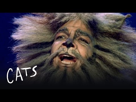 The Moments of Happiness | Cats the Musical