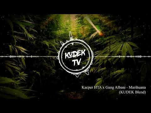 Kacper HTA x Gang Albanii - Marihuana