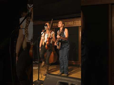 Rabbit in A Log -Hillary Klug & Brenna MacMillan